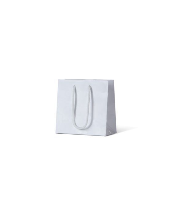 Petite White Gloss Paper Bag 200/Carton