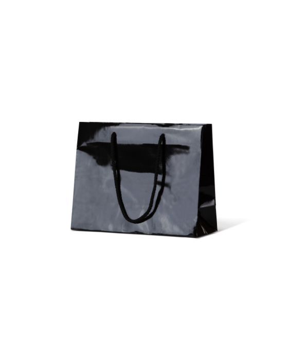 Emerald Black Gloss Paper Bag 200/Carton