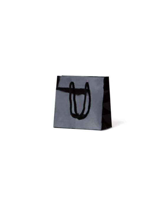 Petite Black Gloss Paper Bag 200/Carton