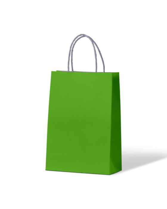 Loud Lime Junior Paper Bag 250/Carton