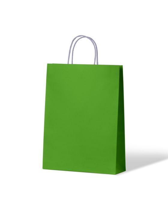Loud Lime Small Paper Bag 250/Carton