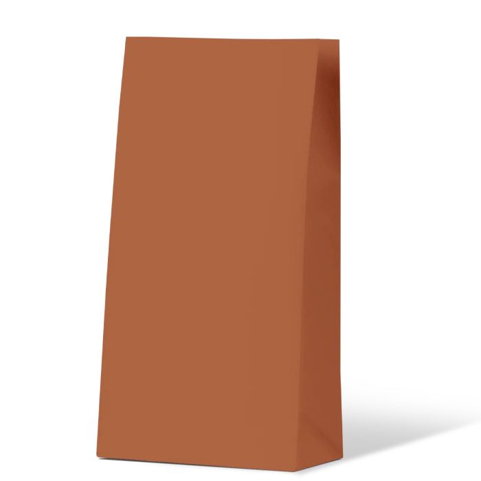 Earth Collection Burnt Orange Medium Gift Bag 500/Carton