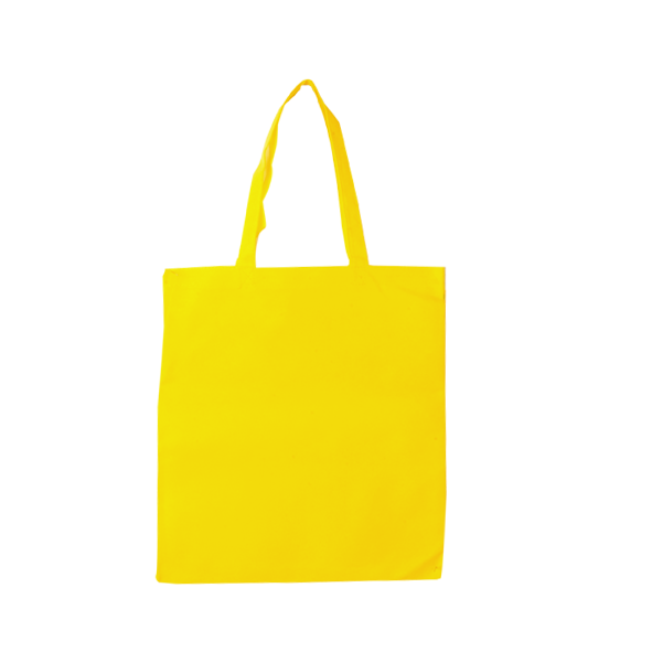 NON WOVEN BAG WITH NO GUSSET 250/Carton
